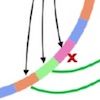 A Critique of Resizable Hash Tables: Riak Core & Random Slicing